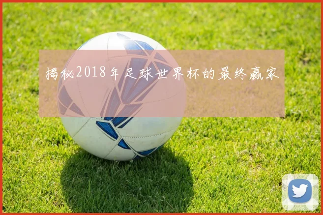 揭秘2018年足球世界杯的最终赢家