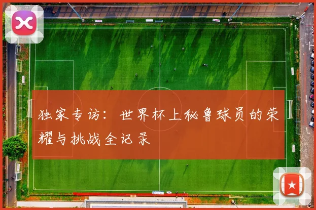 独家专访：世界杯上秘鲁球员的荣耀与挑战全记录